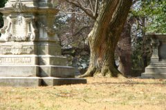 Cave-Hill-Cemetary-3-7-2009-11-15-55-AM