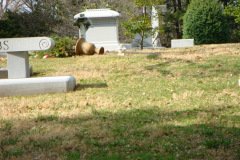 Cave-Hill-Cemetary-3-7-2009-11-16-05-AM